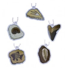 EarthCache™ Fossil Tag